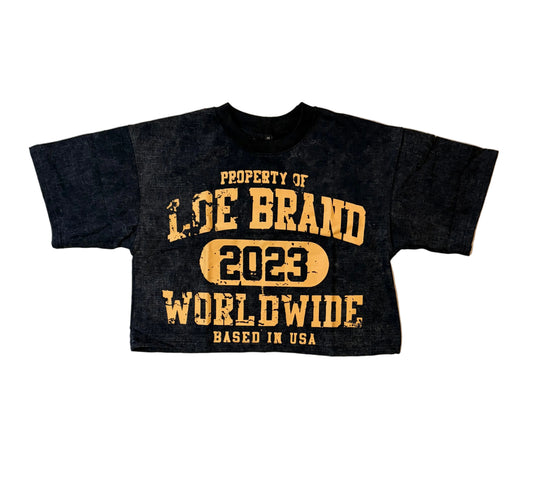 WOMENS CROPPED TEE (ACID WASH)